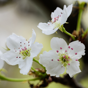 欧洲精品一区二区三区
